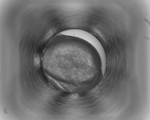 X0000094950124200712271706