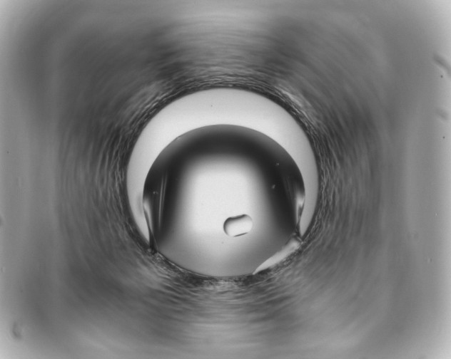 X0000094950125200712271706