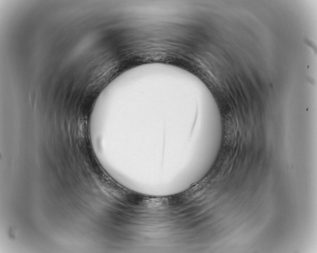 X0000094950126200712271706