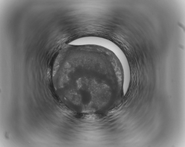 X0000094950127200712271706