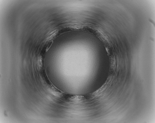 X0000094950128200712271706