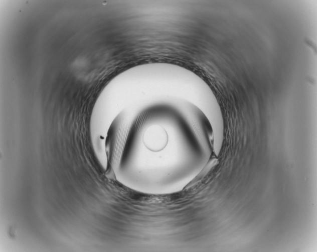 X0000094950129200712271706