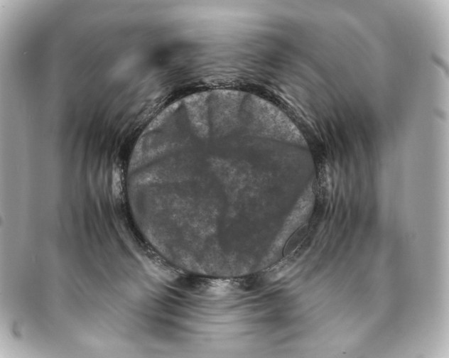 X0000094950130200712271706