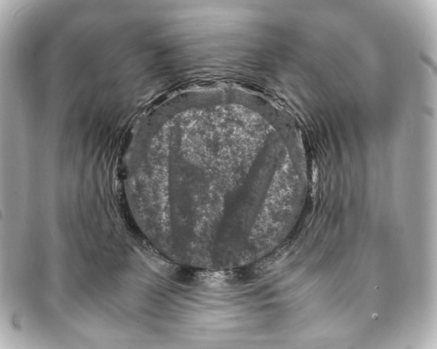 X0000094950131200712271706