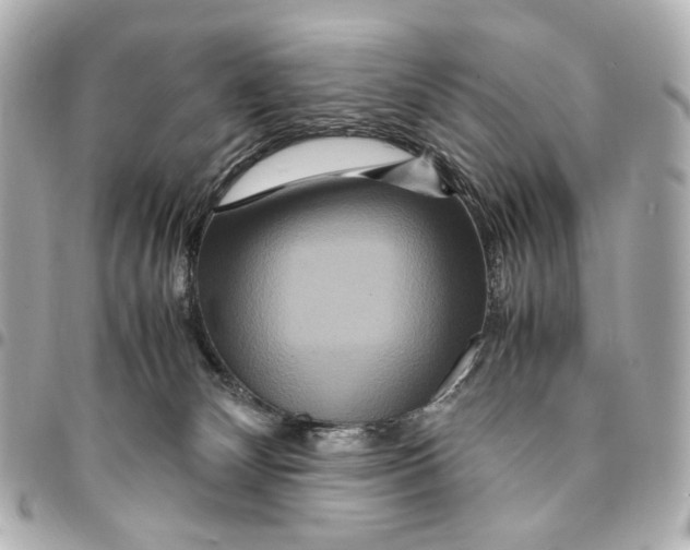 X0000094950132200712271706