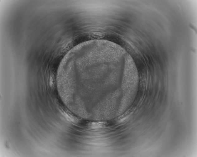 X0000094950134200712271706