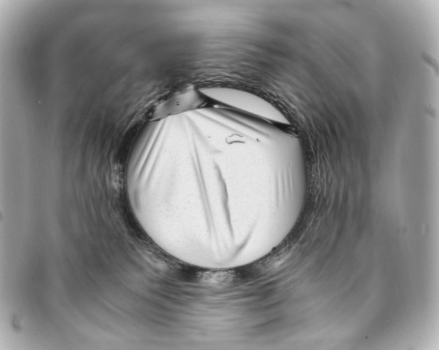 X0000094950135200712271706