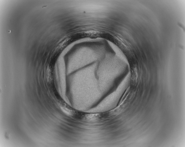 X0000094950136200712271706