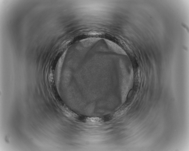 X0000094950137200712271706