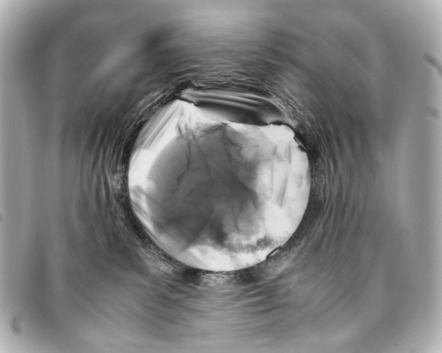 X0000094950139200712271706