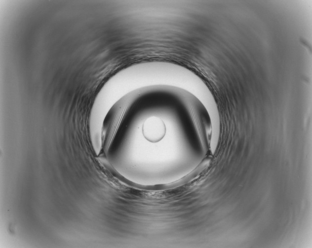 X0000094950141200712271706