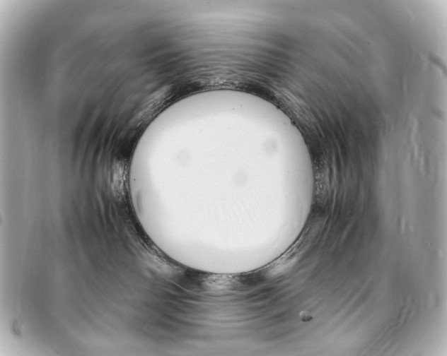 X0000094950142200712271706