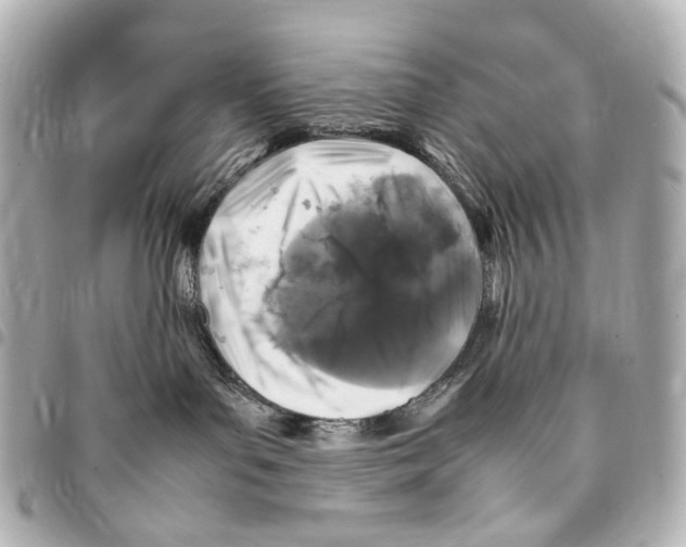 X0000094950143200712271706