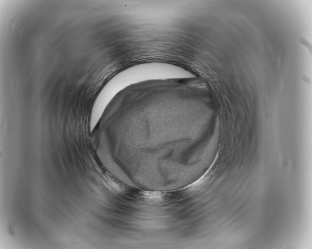 X0000094950144200712271706