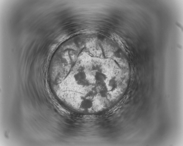 X0000094950145200712271705