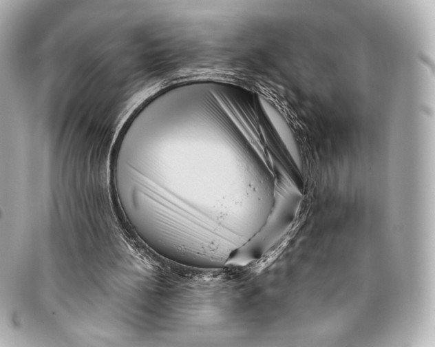 X0000094950148200712271705