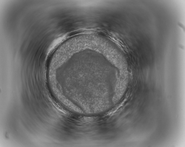 X0000094950149200712271705