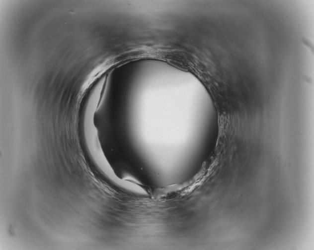 X0000094950150200712271705