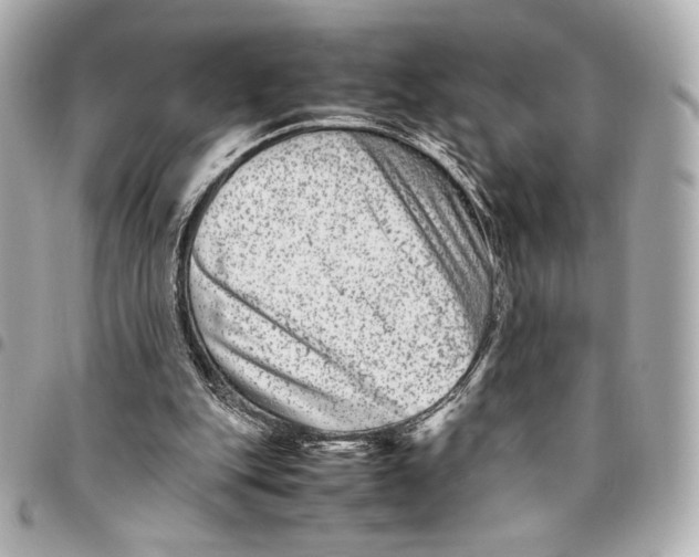 X0000094950151200712271705