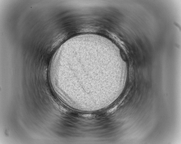 X0000094950153200712271705