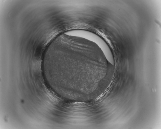 X0000094950154200712271705