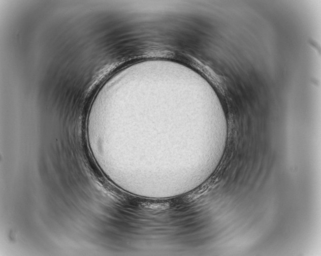 X0000094950155200712271705