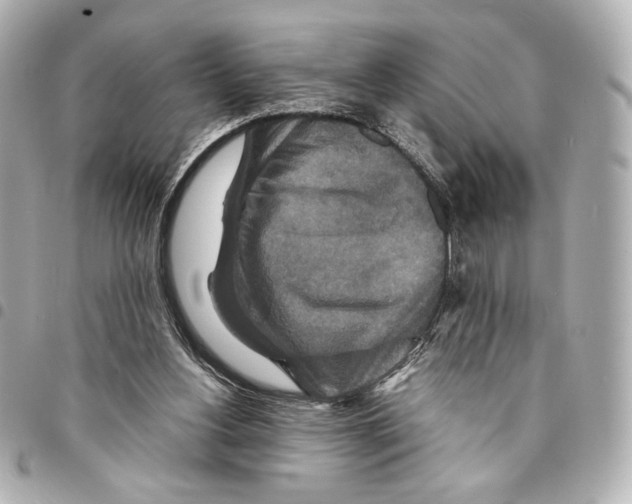 X0000094950156200712271705