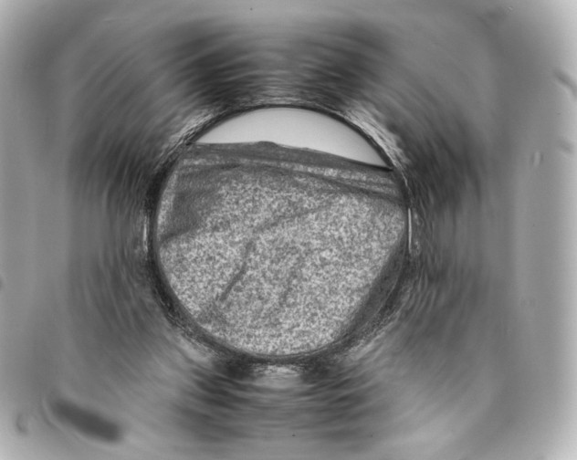 X0000094950157200712271705