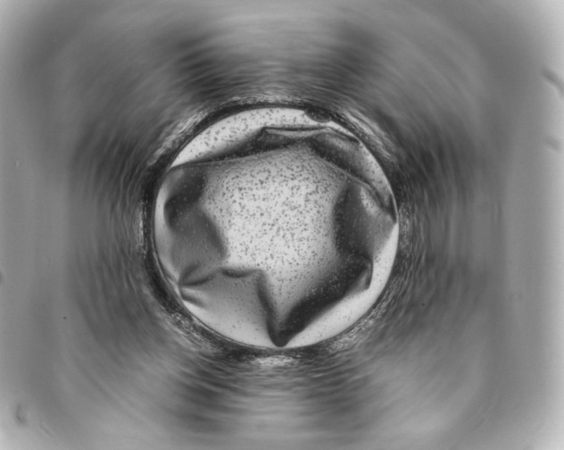 X0000094950158200712271705