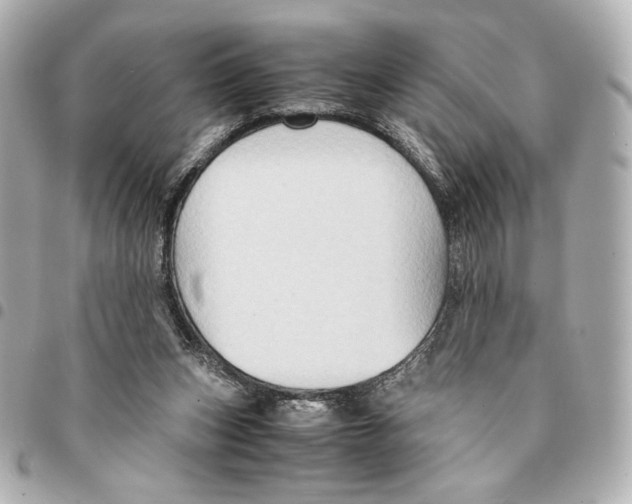 X0000094950159200712271705