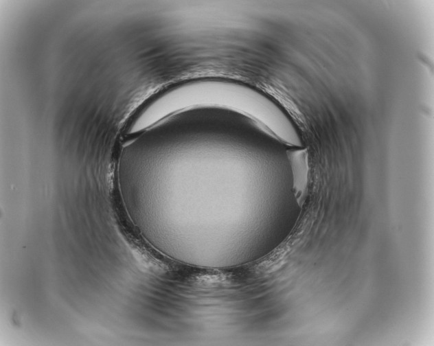 X0000094950160200712271705