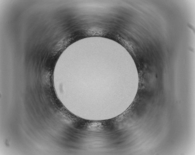 X0000094950162200712271705