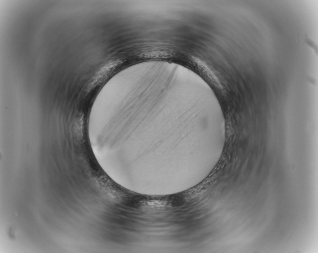 X0000094950163200712271705