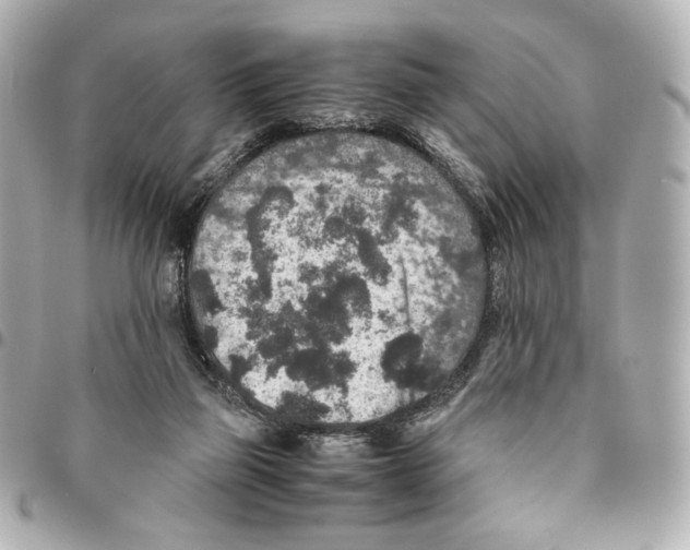 X0000094950165200712271705