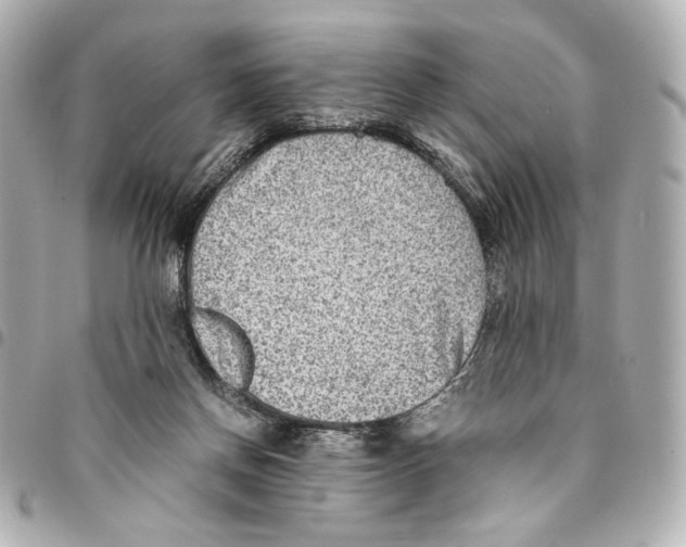 X0000094950166200712271705