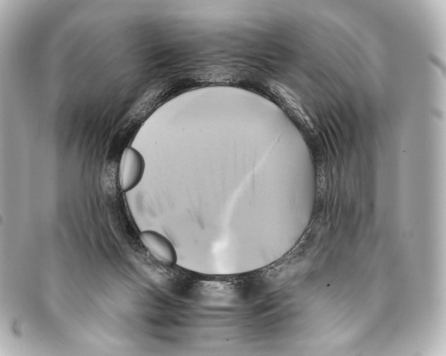 X0000094950167200712271705