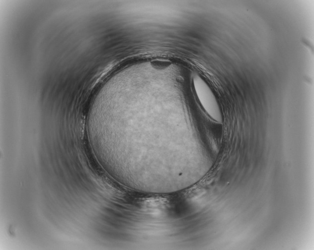 X0000094950168200712271705