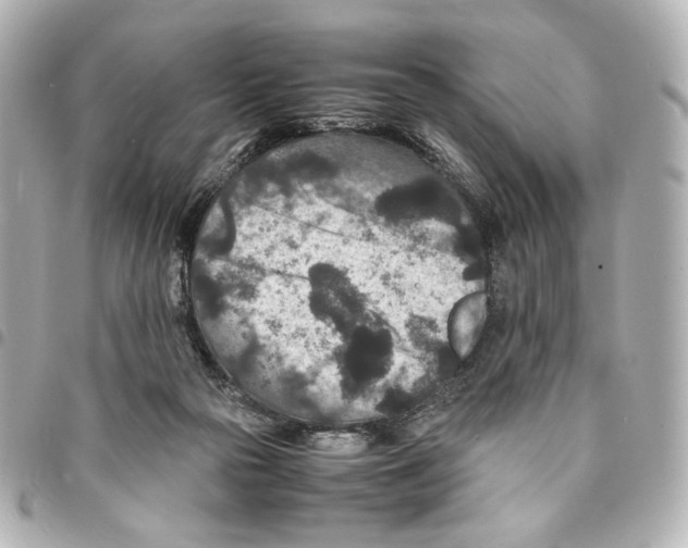 X0000094950169200712271705