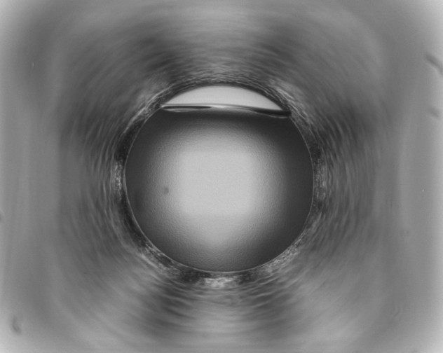 X0000094950172200712271705