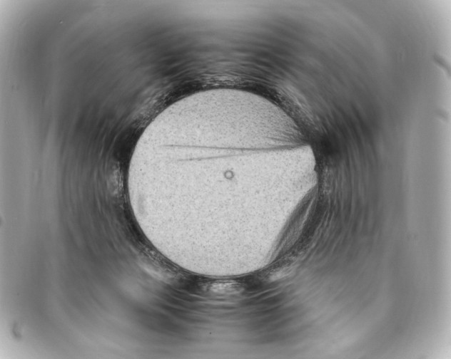 X0000094950173200712271705