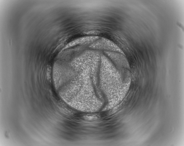 X0000094950175200712271705