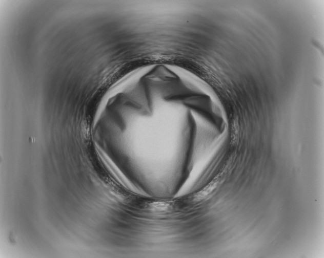 X0000094950176200712271705