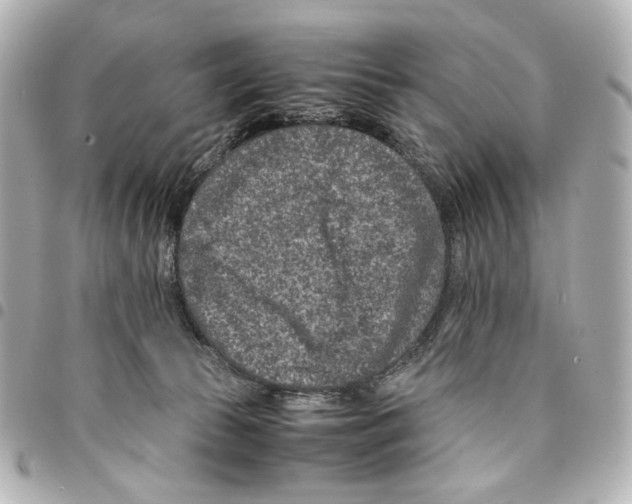 X0000094950177200712271705