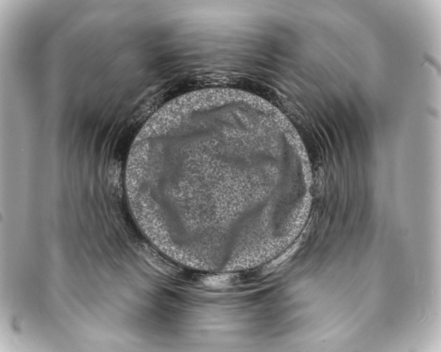 X0000094950178200712271705