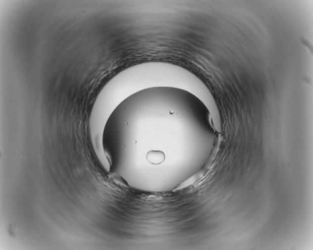 X0000094950180200712271706