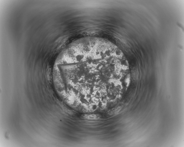 X0000094950181200712271706