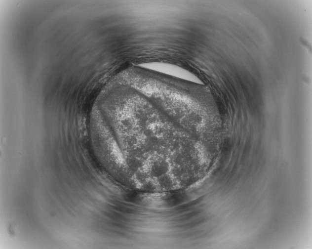 X0000094950182200712271706