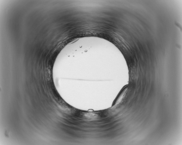 X0000094950183200712271706