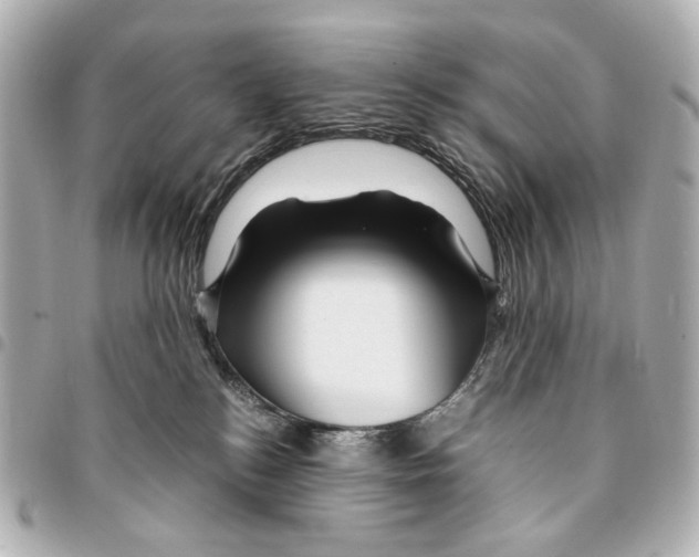 X0000094950184200712271706