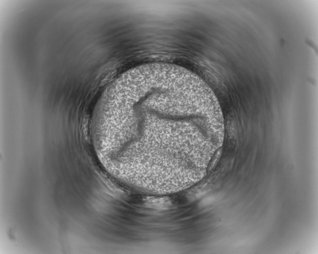 X0000094950185200712271706